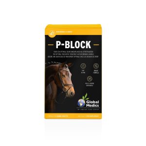 P-BLOCK